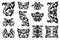 Tribal parrot symbols and butterflies from it