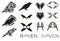 Tribal raven symbols