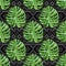 Tribal seamless pattern with watercolor monstera