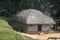 Tribal Thatch Hut inside Deep Jungle