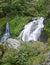 Triberg Waterfalls in green vegetation