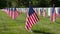 Tribute of Flags for the Fallen on Memorial Day. Concept Memorial Day, Fallen Heroes, Tribute Flags, Honoring Sacrifice,