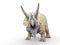 Triceratops is angry on white background