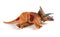 Triceratops dead body on white background