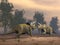 Triceratops dinosaurs fighting - 3D render