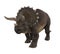 Triceratops Dinosaurs Isolated