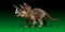 Triceratops is a genus of herbivorous ceratopsid dinosaur that lived late Maastrichtian stage of the late Cretaceous