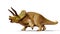 Triceratops horridus dinosaur 3d illustration isolated with shadow on white background