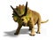 Triceratops horridus of the late Cretaceous period between 66 and 68 million years ago 3d render isolated with shadow on white ba