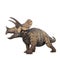 Triceratops large herbivorous dinosaur. 3D illustration isolated on white background