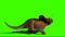 Triceratops Looking on Green Screen