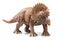 Triceratops plastic figurine in white background