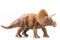 Triceratops plastic figurine in white background