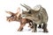 Triceratops on white background