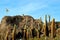 Trichocereus Cactus field on the Isla Incahuasi Rocky Outcrop with Bolivian Flag on the Top, Uyuni Salt Flats, Bolivia