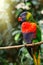 Trichoglossus haematodus sitting on a tree branch with sunshine pouring overhead. Close up of a tropical multicolor bird in