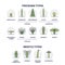 Trichome and bristle types comparison and division groups outline diagram