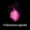 Trichomonas vaginal. Infographics. Vector illustration on isolated background.