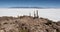 Trichoreceus Cactus on Isla Incahuasi Isla del Pescado in the middle of the world`s biggest salt plain Salar de Uyuni, Bolivia