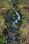 Trickle of water over moss and rocks at Melincourt waterfalls