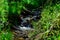 Trickling brook with green grasses and weeds on the banks