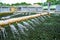 Trickling Filter Spraying Wastewater for Treatment at Sewage Pla