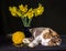 Tricolor cat sleeping with ball of yellow yarn and bouquet of daffodils in a blue vase
