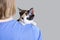 Tricolor little kitten on girl shoulder on a gray background