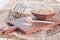 Tricolor quinoa in wooden bowl, wooden spoon