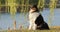 Tricolor Rough Collie, Funny Scottish Collie, Long-haired Collie, English Collie, Lassie Dog Posing Outdoors In Autumn