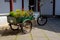 Tricycle with Large Metallic Green Basket in the Back Filled with Fresh Flowers, Half Sitting in the Shade and Half in the Sun