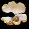 Tridacna Shell Latin Name With A Mineral Stone, Leopard Jasper, Between The Open Valves. Cut On Black Background