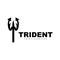 Trident Logo, Vector Magic Spear of Poseidon Neptune, Triton King Design, Template Icon Brand Illustration