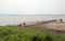 Trieste Gulf of an italian lagoon with brackish water