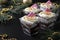 Trifles made from chocolate biscuit with caramel-peanut filling. Dessert is decorated with creamy cheese cream and pink