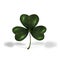 Trifoliate clover. The symbol of St. Patrick s Day. on white background with shadows. illustration