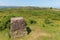 Trig Point on North Hill near Minehead UK with beautiful Somerset countryside