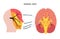 Trigeminal nerve diagram