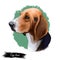 Trigg Hound Puppy isolated digital art illustration. Hand drawn dog muzzle portrait, puppy cute pet. Dog breeds