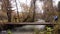 Triglav. Slovenia. Autumn. Forest. Bridge over river