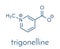 Trigonelline molecule. Metabolite of niacin (vitamin B3) but also found in a number of plants, including fenugreek. Skeletal