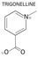 Trigonelline molecule skeletal formula. Metabolite of niacin, vitamin B3