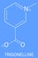 Trigonelline molecule skeletal formula. Metabolite of niacin, vitamin B3