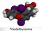 Triiodothyronine, T3, liothyronine molecule. It is thyroid hormone, pituitary gland hormone. Molecular model. 3D rendering