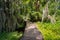 Trimble Park a lake boardwalk in Mount Dora, Florida