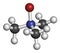 Trimethylamine N-oxide TMAO molecule. 3D rendering. Atoms are represented as spheres with conventional color coding: hydrogen