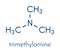 Trimethylamine volatile tertiary amine molecule. Important component of the smell of rotting fish. Skeletal formula.