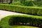trimmed boxwood bushes in a well groomed park.