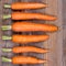 Trimmed carrots in a row