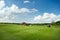 Trimmed field and sand bunkers on golf course